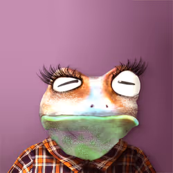 Notorious Frog #1875