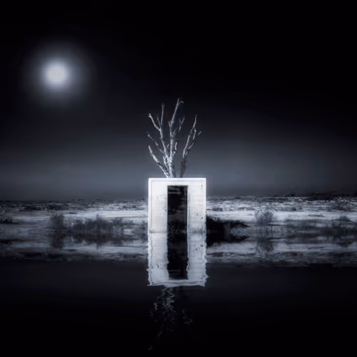Lonely tree V3