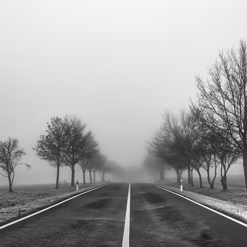 Memorable noir