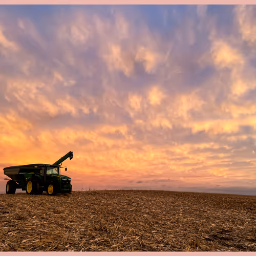After the Harvest