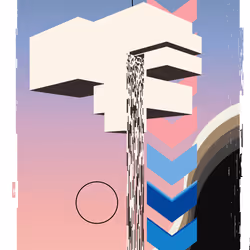 81
