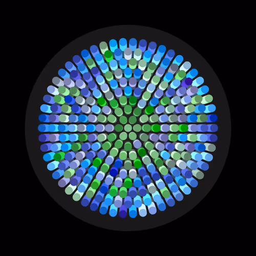 Item #117000013 Media