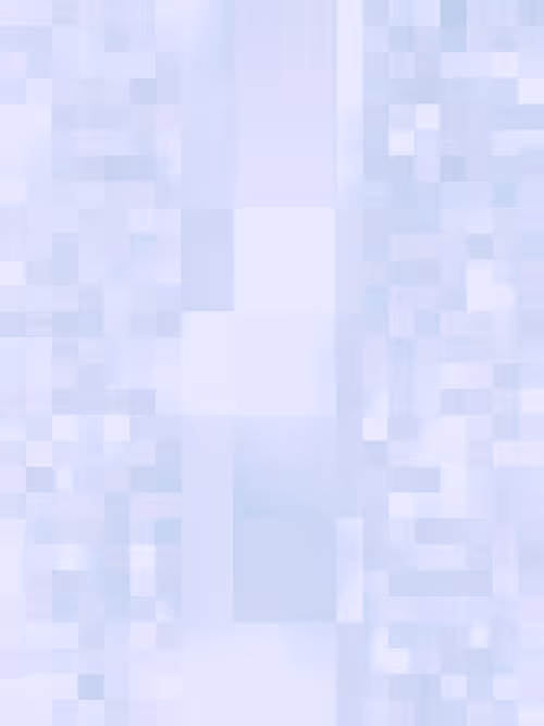 Item #332000200 Media