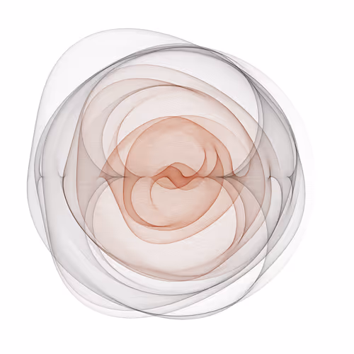 Item #210000052 Media