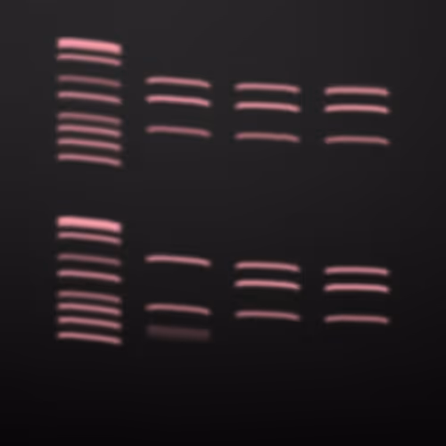 Item #322000096 Media