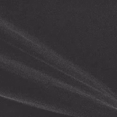 Item #320000166 Media