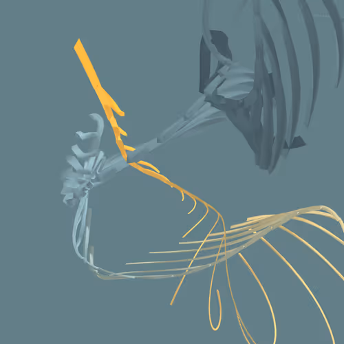 Item #268000231 Media