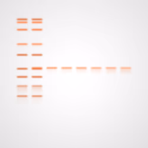 Item #322000026 Media