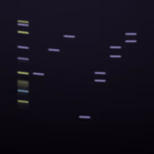 Item #322000032 Media