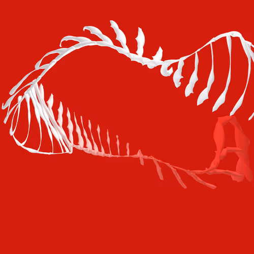 Item #268000037 Media