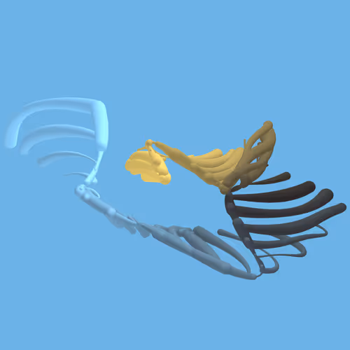 Item #268000078 Media