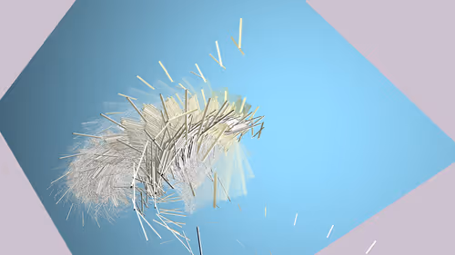 Item #169000533 Media