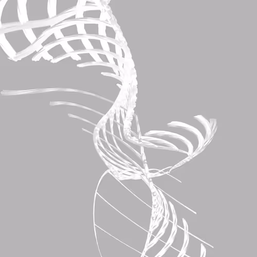 Item #268000128 Media