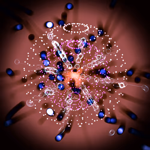 Item #250001000 Media