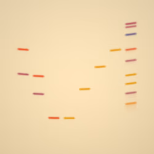 Item #322000174 Media