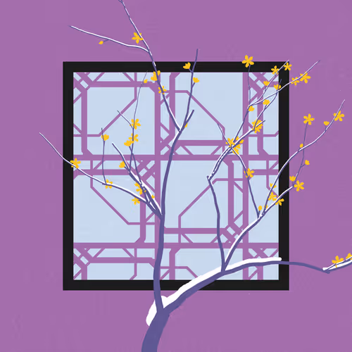 Item #207000338 Media