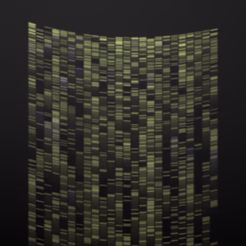 Item #322000171 Media