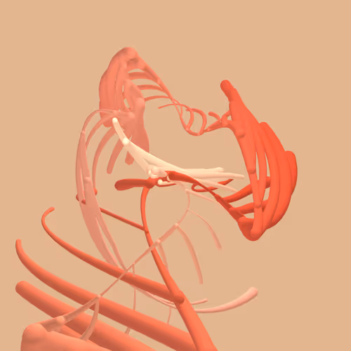 Item #268000054 Media