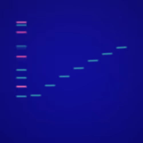 Item #322000098 Media