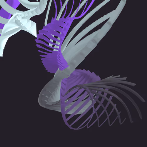 Item #268000189 Media