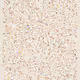 78000595