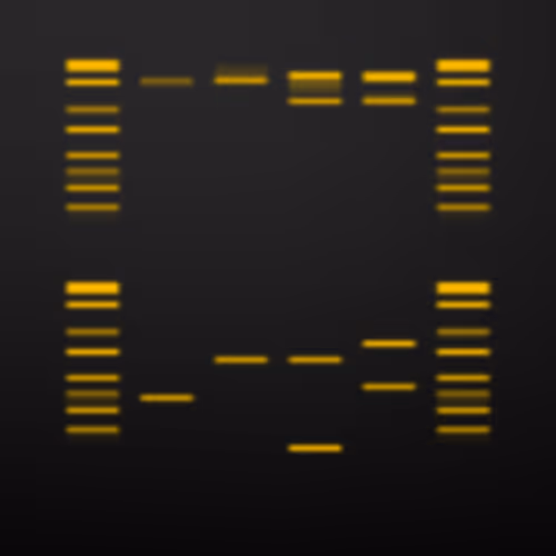 Item #322000000 Media