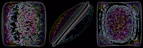 Item #302000303 Media