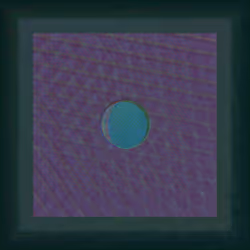 215000091