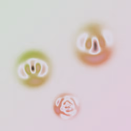 Item #275000239 Media