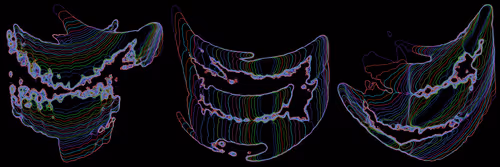 Item #302000192 Media