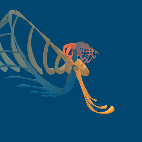 Item #268000185 Media