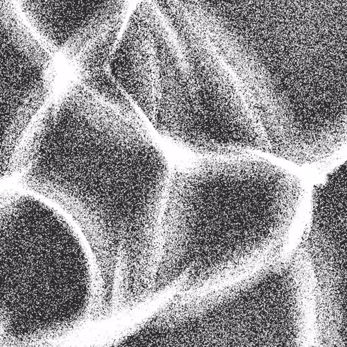 Item #320000224 Media