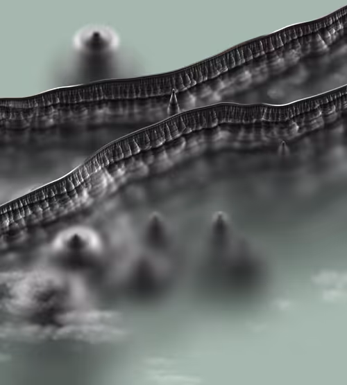 Item #291000129 Media