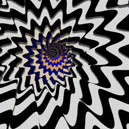 Item #225000381 Media