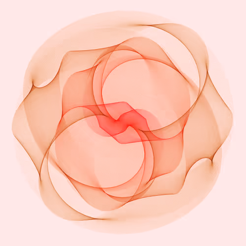 Item #210000002 Media