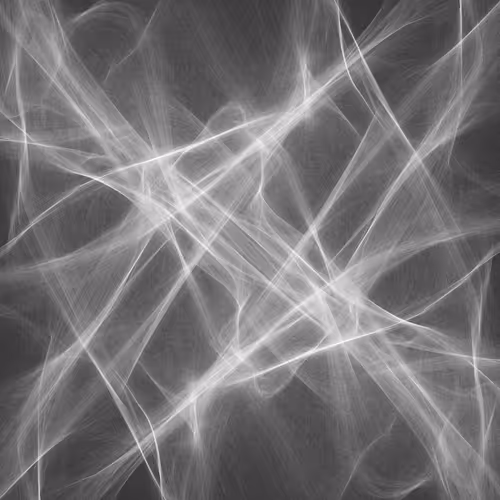 Item #39000153 Media