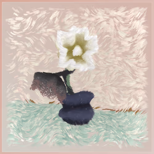 Item #233000720 Media