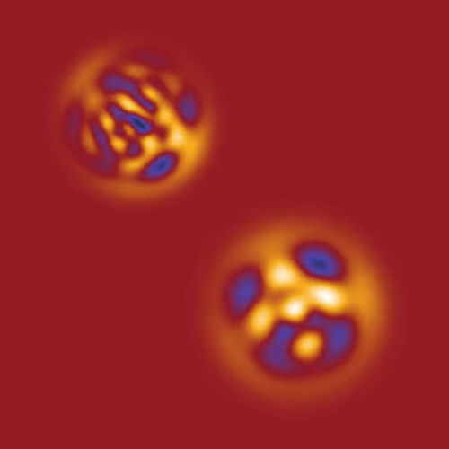 Item #275000101 Media