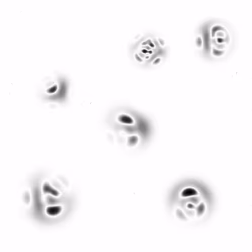 Item #275000348 Media