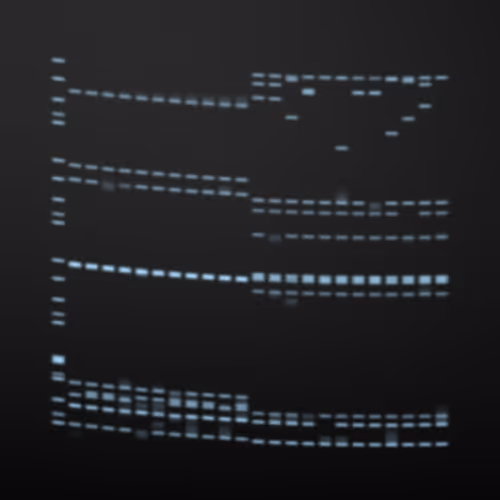 Item #322000164 Media