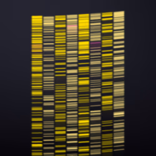 Item #322000116 Media