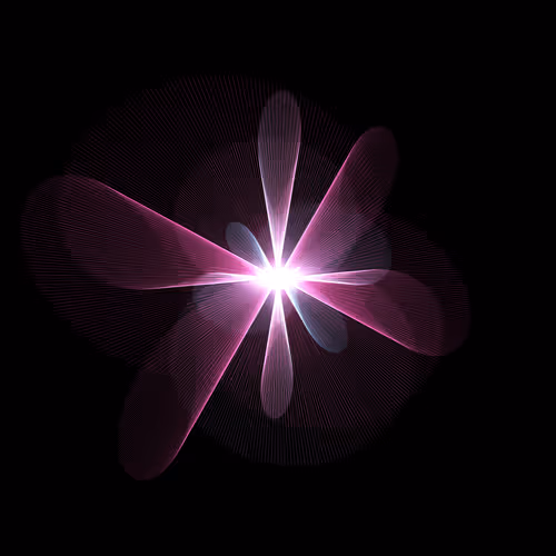 Item #210000077 Media