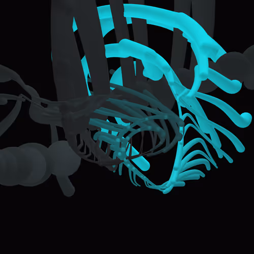 Item #268000140 Media