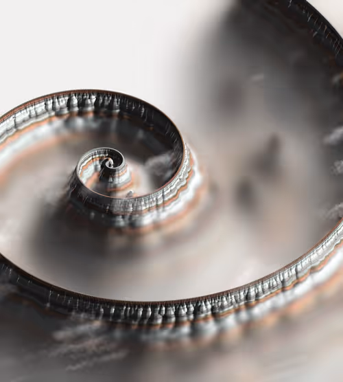 Item #291000306 Media