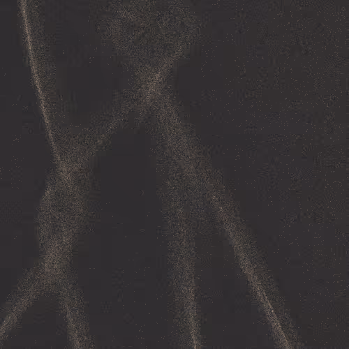 Item #320000449 Media