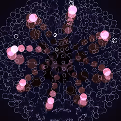 250000560