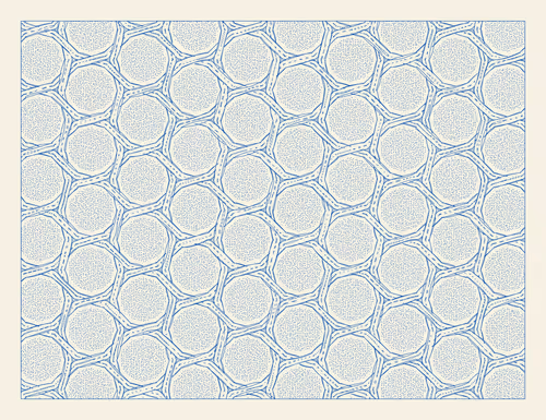 Item #242000080 Media