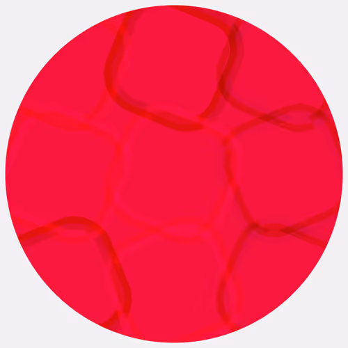 Item #166000106 Media