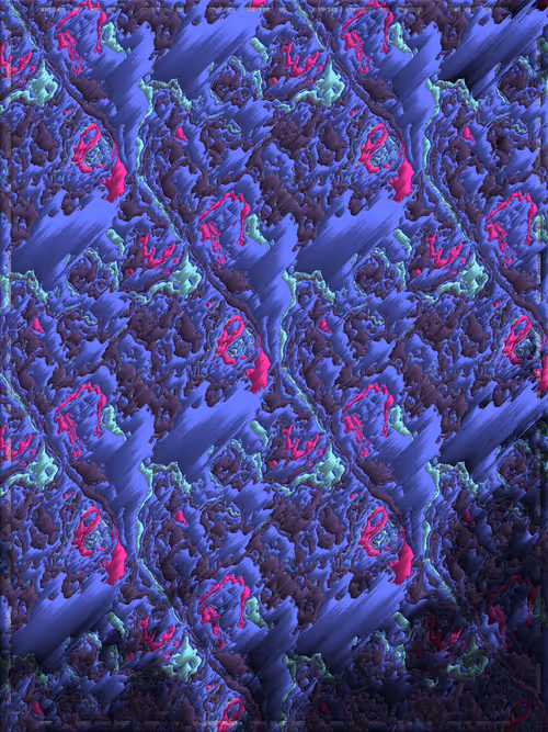 Item #319000109 Media