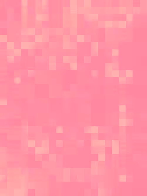 Item #332000187 Media